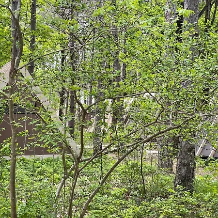 Longosphere Glamping Kırklareli Zewnętrze zdjęcie