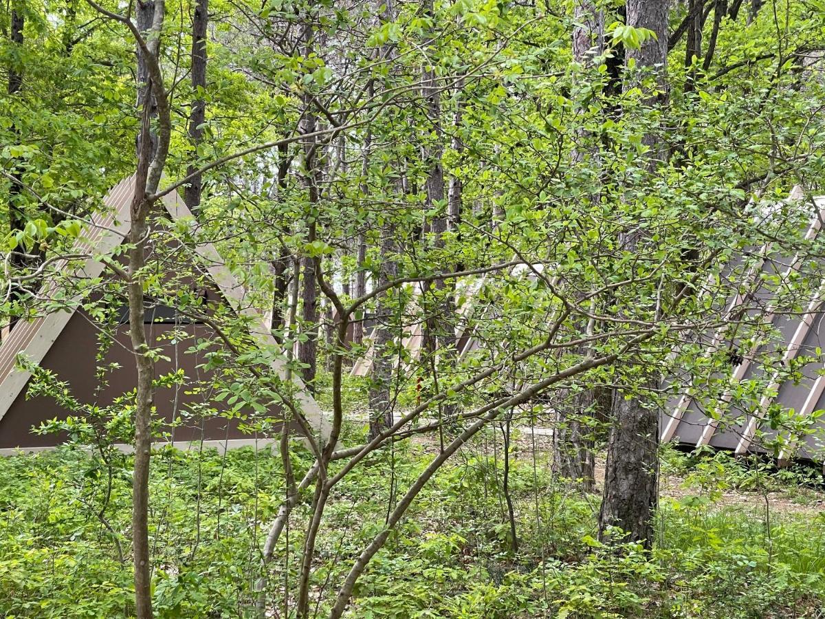 Longosphere Glamping Kırklareli
