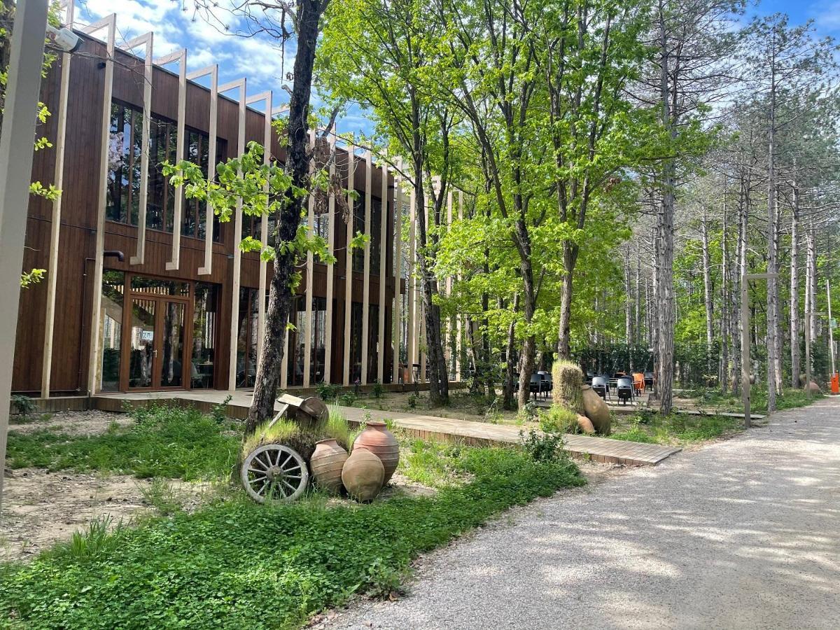 Longosphere Glamping *