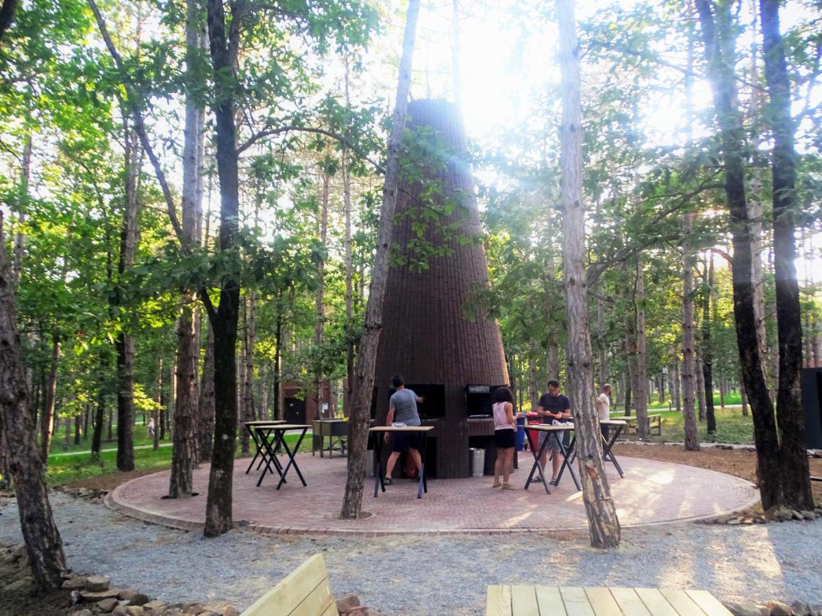 Longosphere Glamping Kırklareli