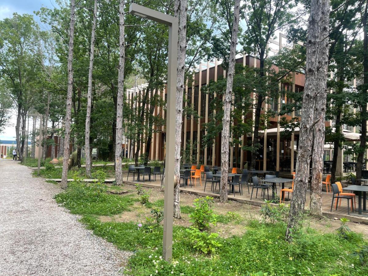 Longosphere Glamping